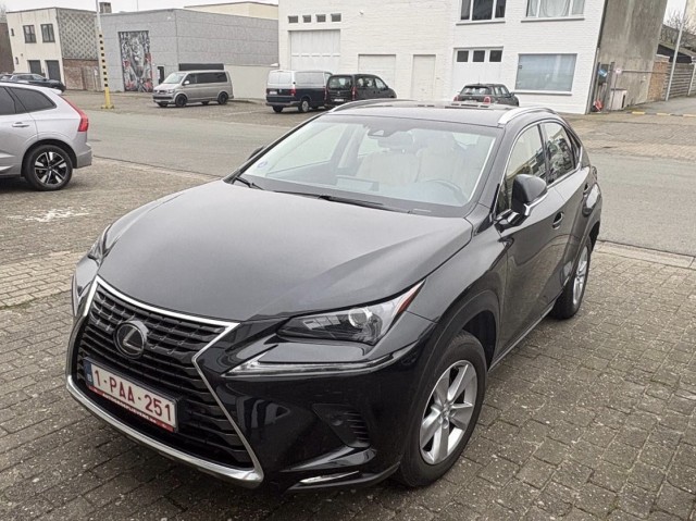 lexus